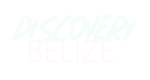 Overview image of Discovery Belize Logo